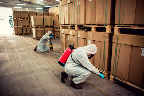 Best Emergency Pest Control  in Waimanalo Beach, HI