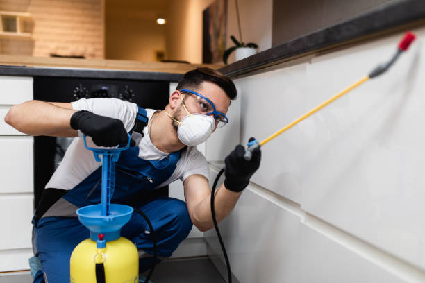 Best Residential Pest Control  in Waimanalo Beach, HI