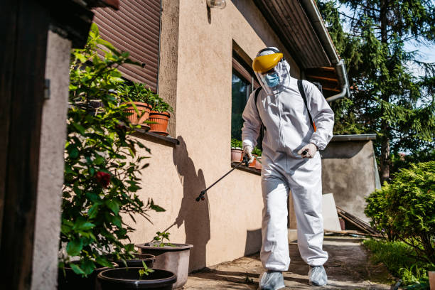 Best Best Pest Control Companies  in Waimanalo Beach, HI