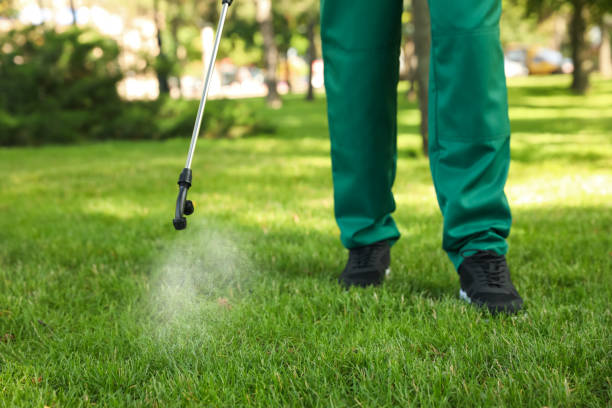 Best Pest Control Treatment  in Waimanalo Beach, HI