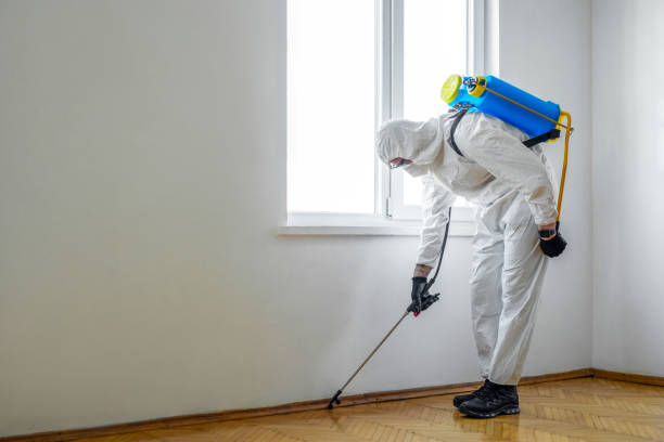 Flea Control Services in Waimanalo Beach, HI