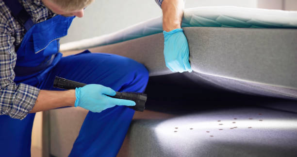 Best Flea Control Services  in Waimanalo Beach, HI