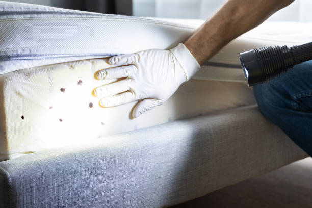Best Best Pest Control Companies  in Waimanalo Beach, HI