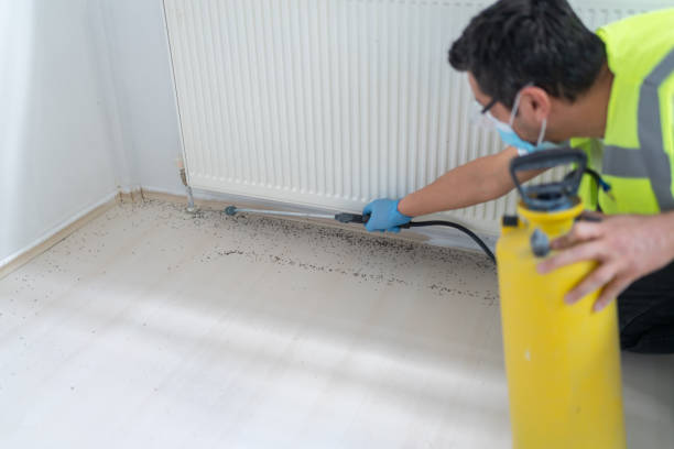 Best Pest Control for Businesses  in Waimanalo Beach, HI